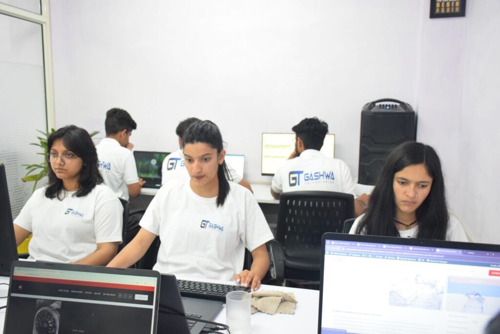 Employees at Gashwa Technologies are doing their work professionally